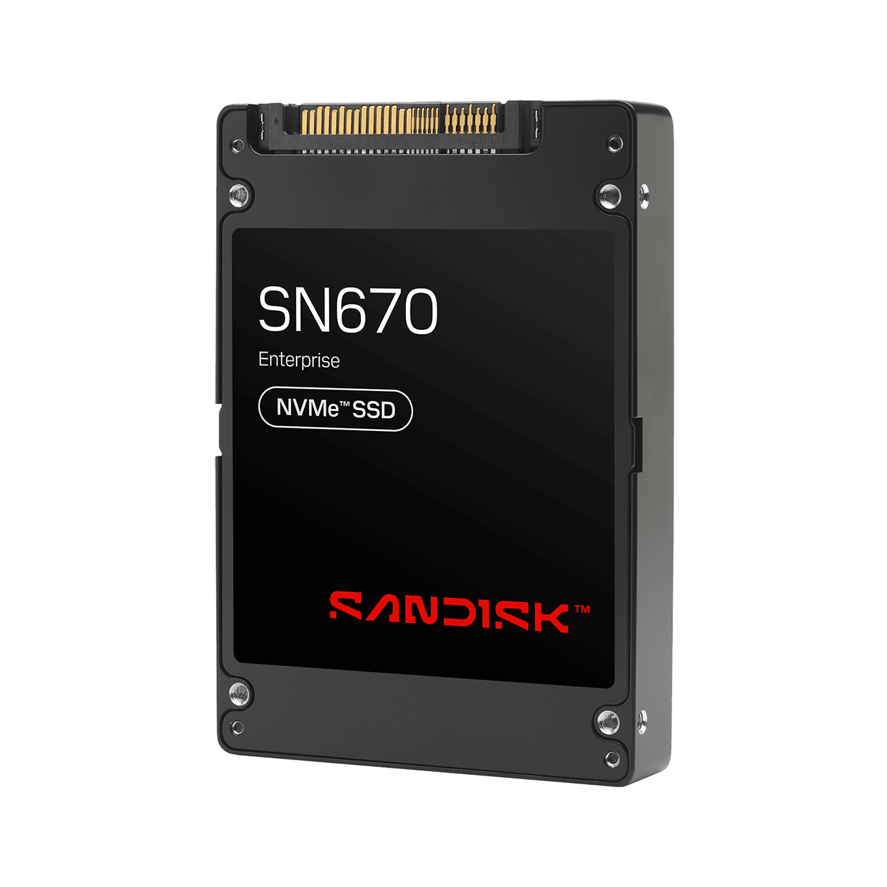 SANDISK SN670 NVMe SSD - 30.72TB ISE - Image1
