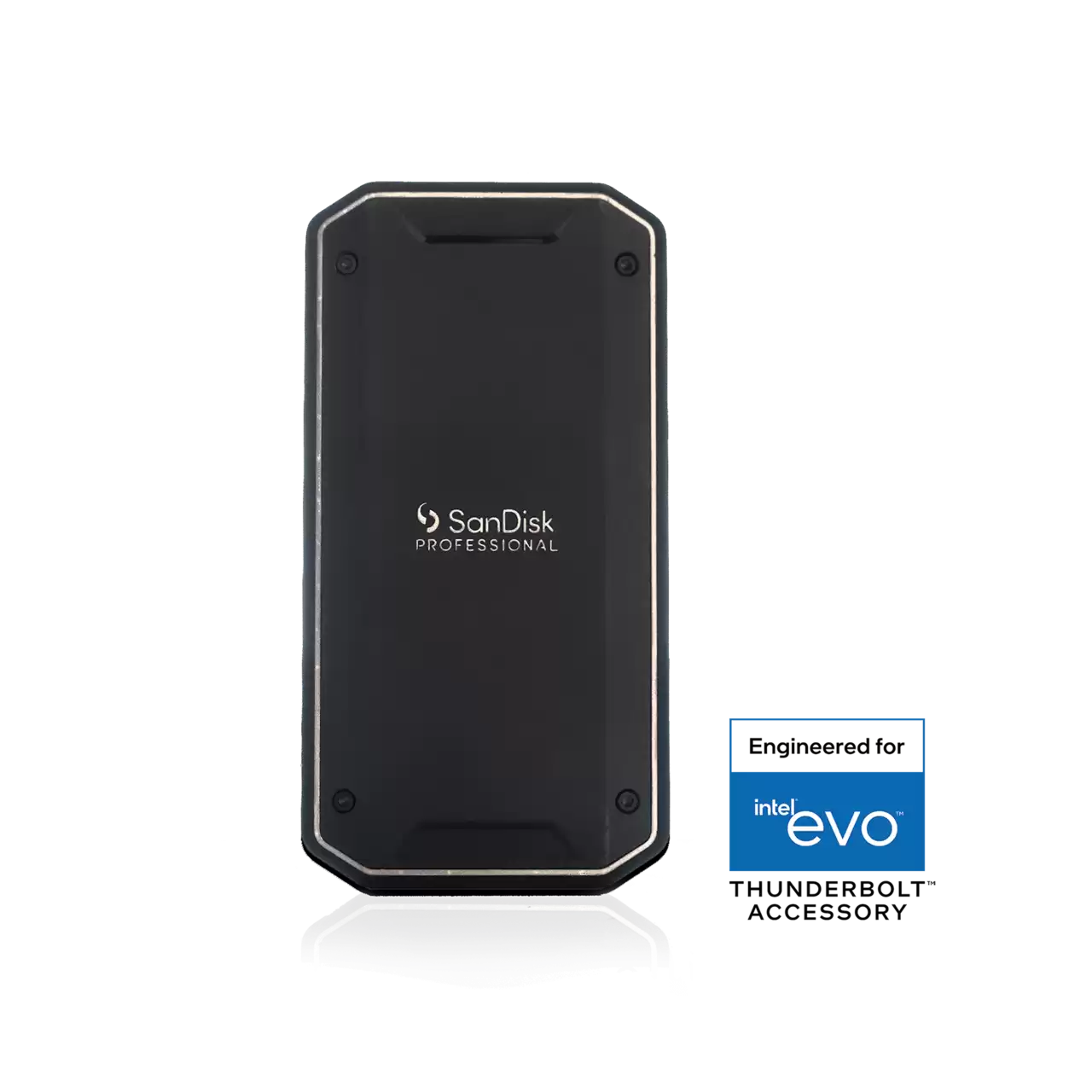 SanDisk Professional PRO-G40 portable SSD storage device- Zoom Image